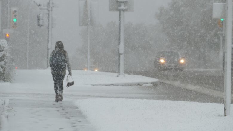 Heavy snow falls on a pedestrian carrying a purse, walking alongside a road where cars are driving.