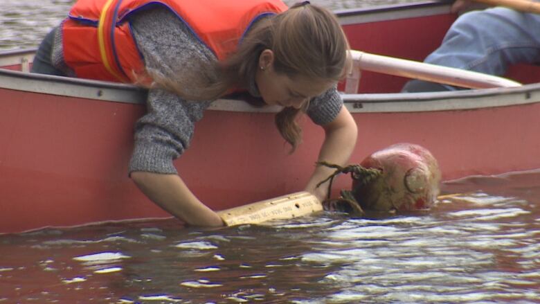 A woman in a canoe pulls up a gadget that measures oxygen levels 