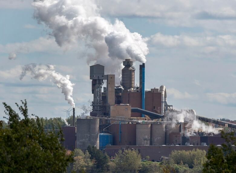 Clouds are emitted from a pulp mill.