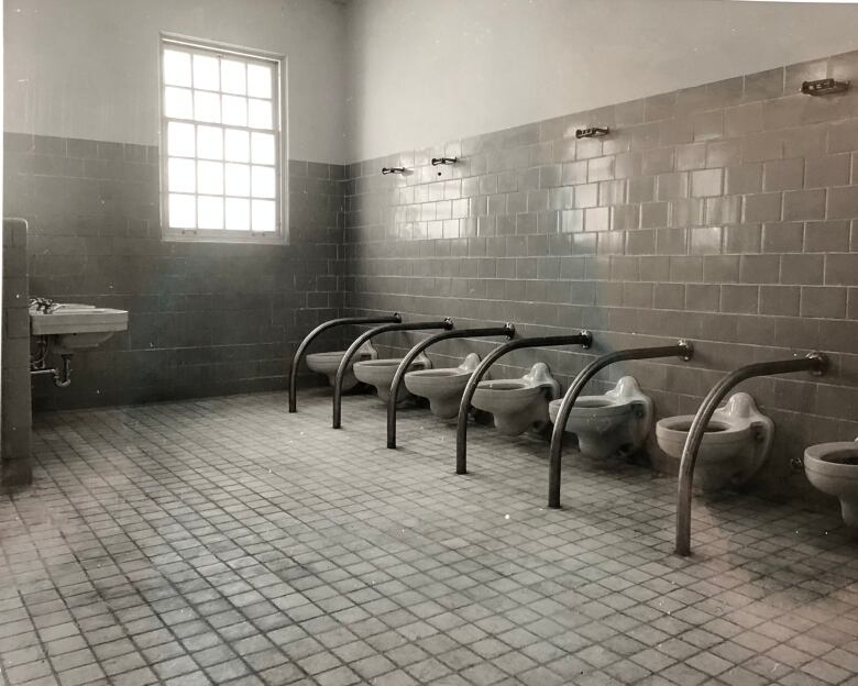 Black-and-white photo of a row of toilets.