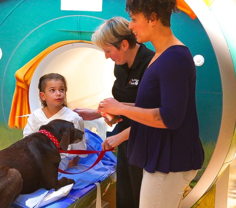 Brown Labrador retriever prepares to go into an MRI machine with young child.