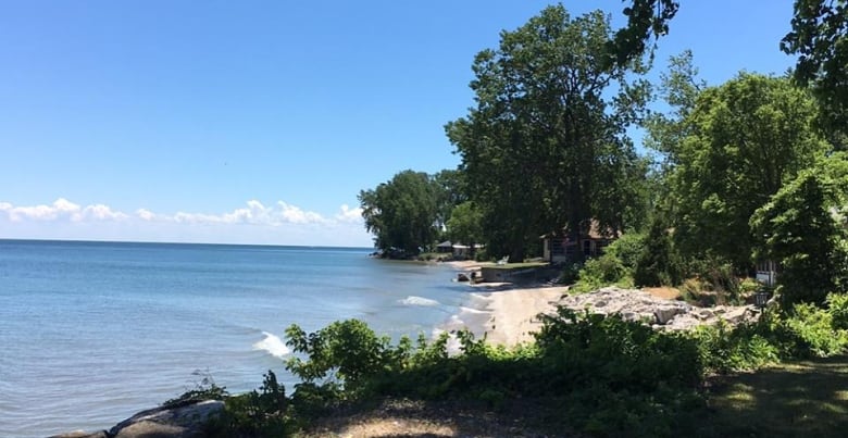 Pelee Island shoreline along Lake Erie.