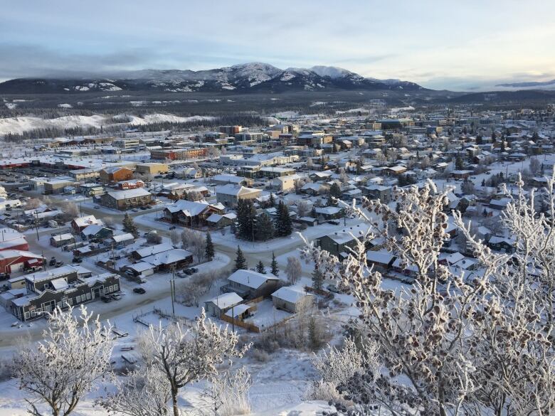 A view over snow-covered houses. 