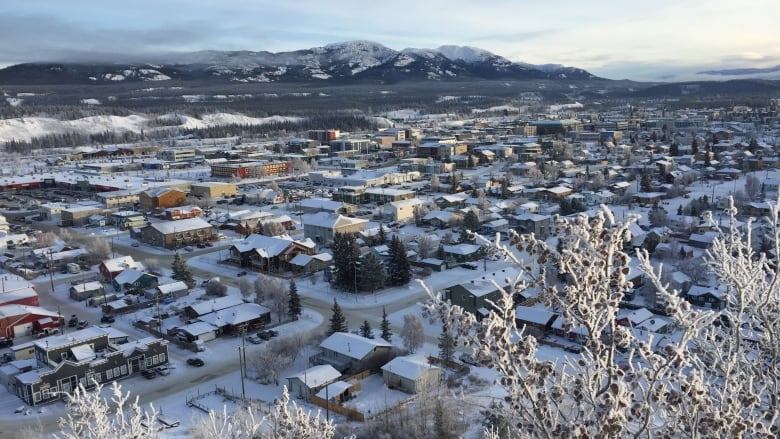 A view over snow-covered houses. 