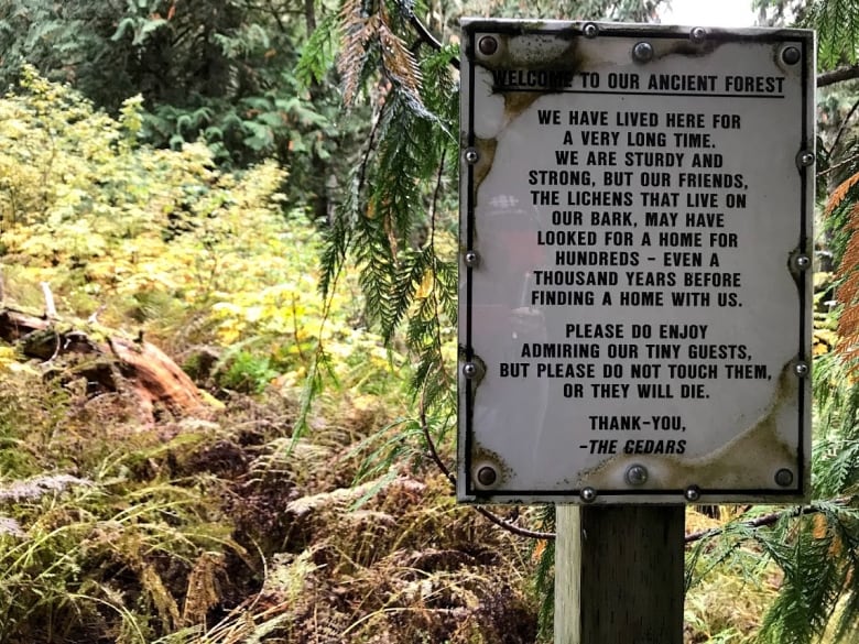 A sign in the forest.