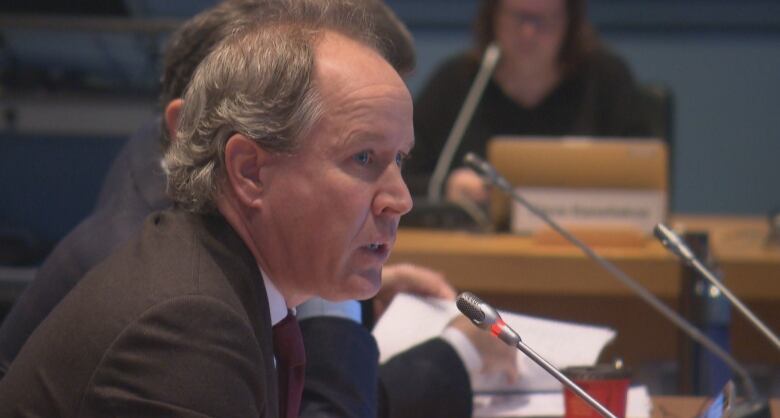 OSEG CEO Mark Goudie speaks at council.