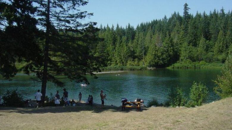 People play along the banks of a river in summer. 