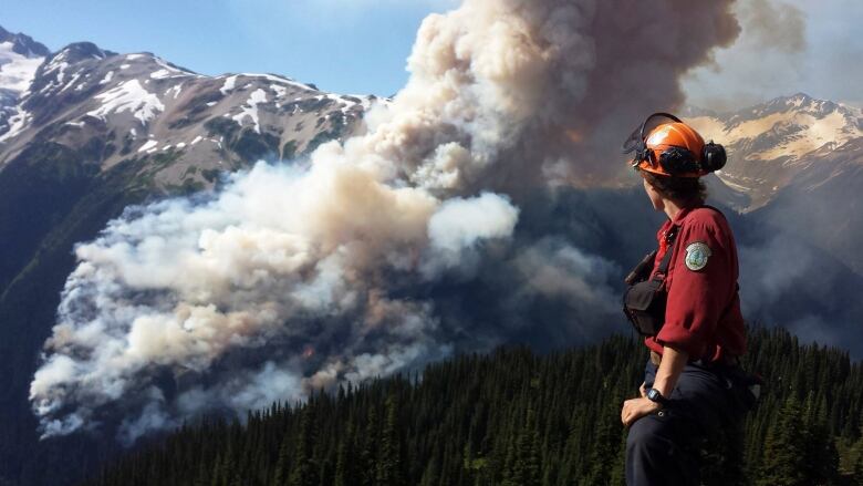 A fire crew is pictured observing a forest fire. 