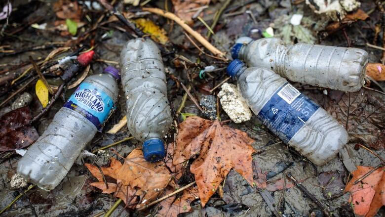 Water bottles and bits of Styrofoam lying in leaf litter.