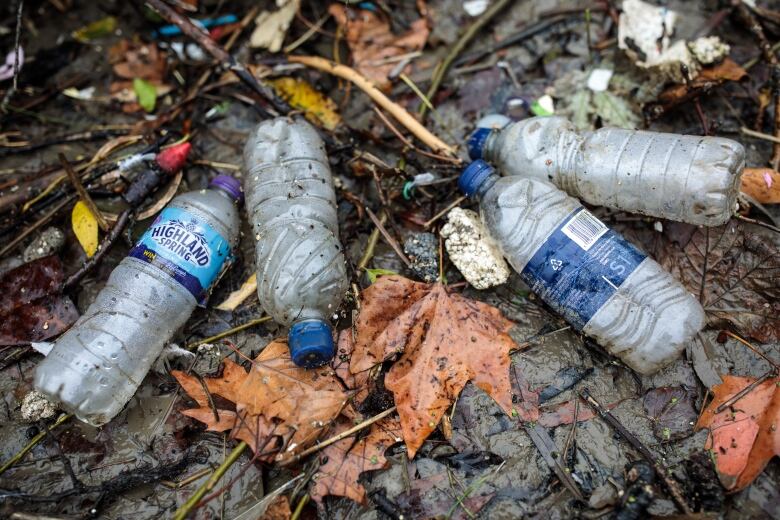 Water bottles and bits of Styrofoam lying in leaf litter.