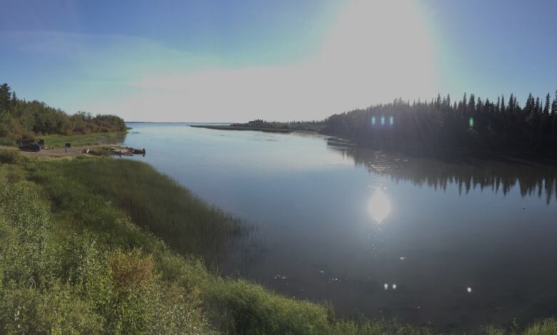 The mouth of a river in the summer.