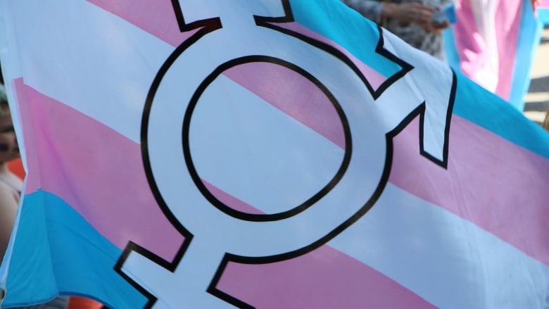 A blue, pink and white striped flag with a white symbol in the middle.