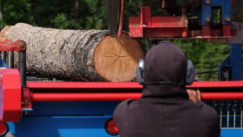 A forestry worker examines a cut log on the back of a red flat deck truck.