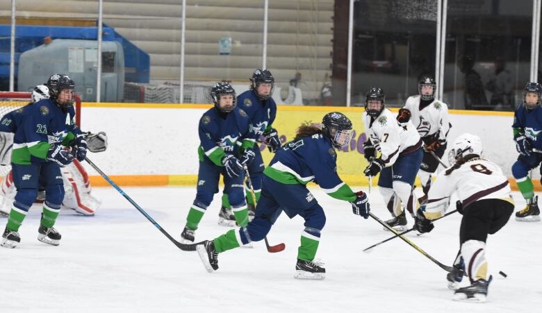 Women playing hockey on ice