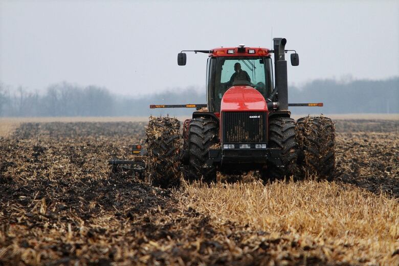 A tractor in a field. 