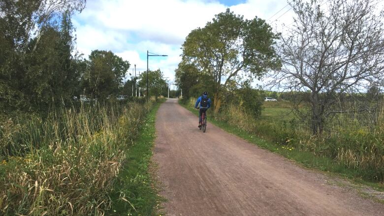 The Confederation Trail has a number of users including walkers and cyclists. 