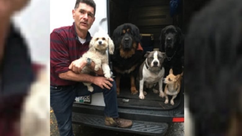 A white man with a crew haircut wearing a red flannel shirt and blue jeans is pictured with five dogs of varying sizes. The man has one foot on the back bumper of a white van. One of the back doors is open with the dogs looking out of the doorway. The man is holding one of the dogs on his knee, a small white dog. The image has blurred pillar boxes to fill out the landscape framing.