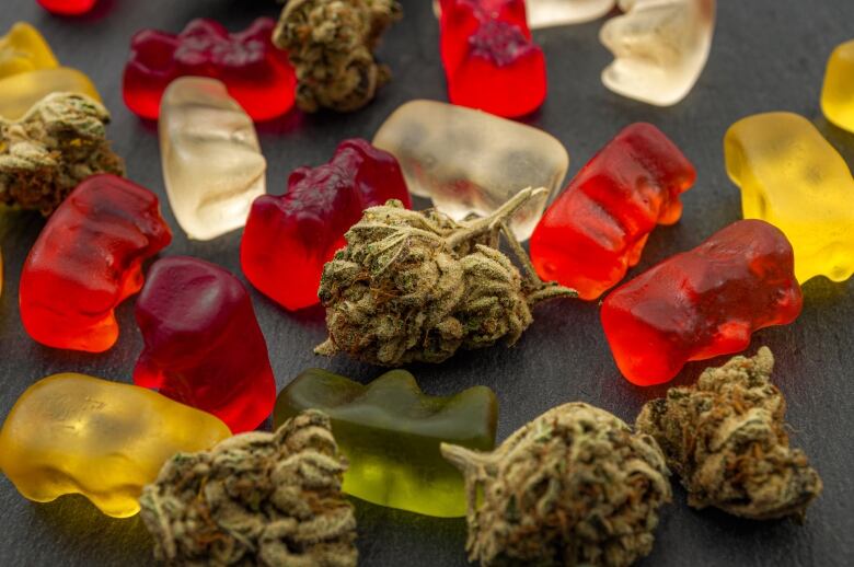 Cannabis buds are strewn on a black backdrop amongst gummy bears.