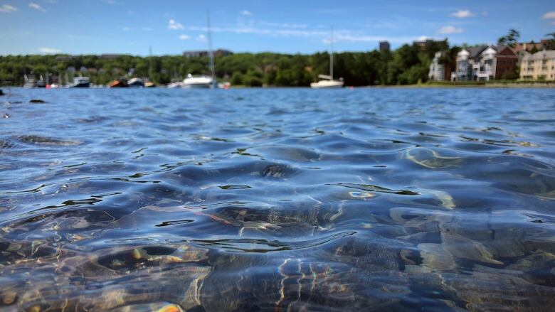 water with boats in the background