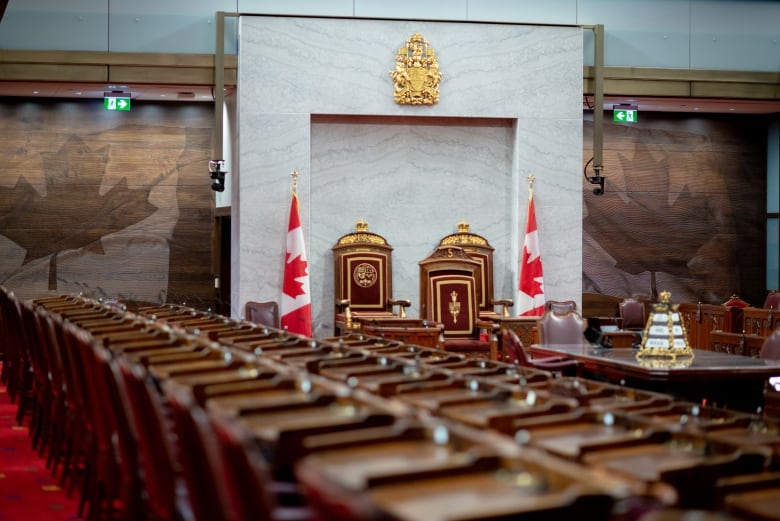 A photo of the new Senate with red seats.