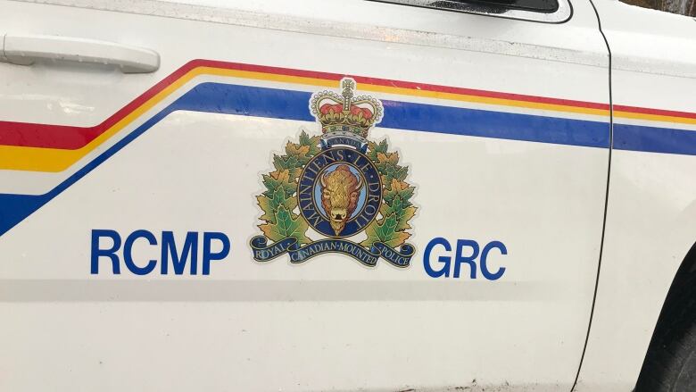 A photo of an RCMP car door.