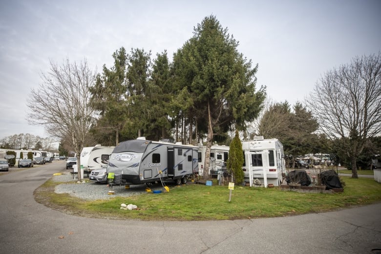 A row of RVs in a park-like setting.