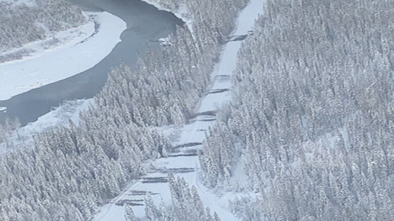 a stretch of snow covered road with pine trees lying across it periodically.