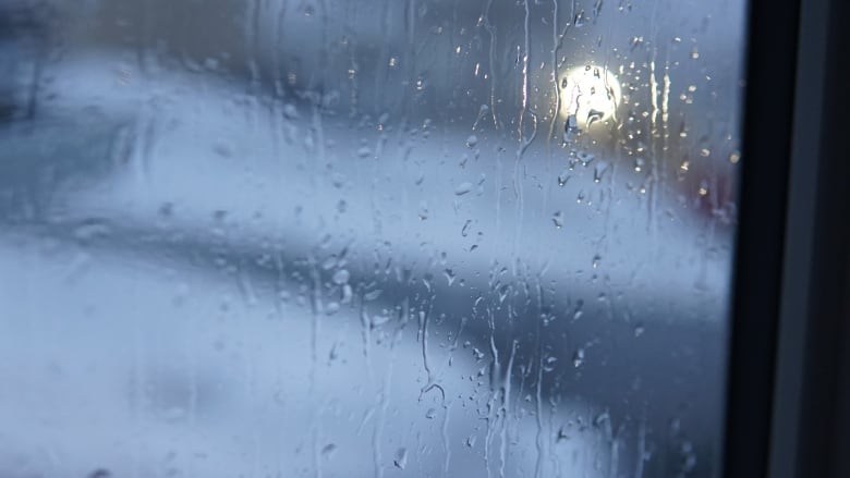 Raindrops on a window