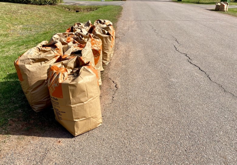 Paper bags filled with yard waste lined up at the curb.