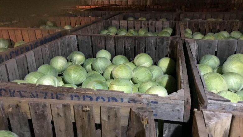 Baskets of cabbages.