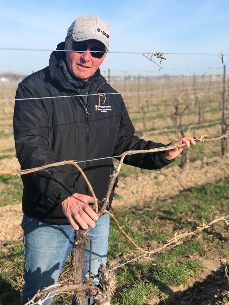 Matthias Oppenlaender, the chair of the board of the Ontario Grape Growers Association, kneels for a photo in his vineyard near Niagara-on-the-Lake, Ont.