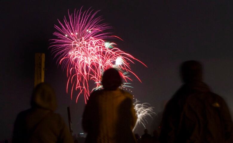 Shadows of people standing in front of firework display.