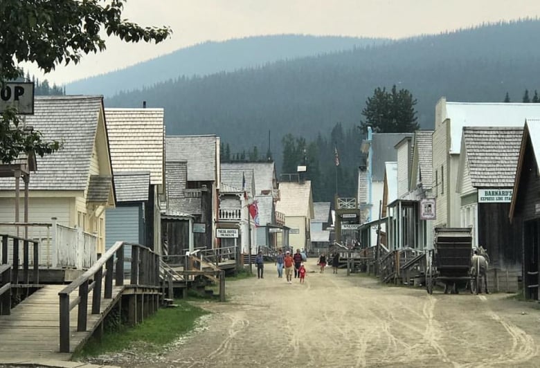 Wooden houses in two rows on either side of the street