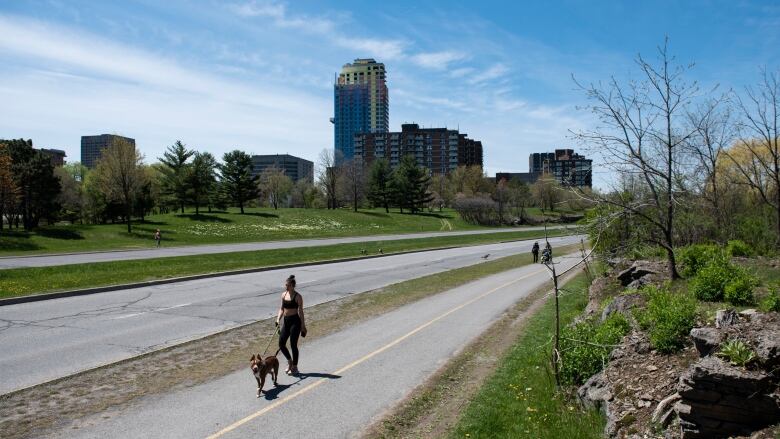 Someone walks a dog on a multi-use path beside an empty road.