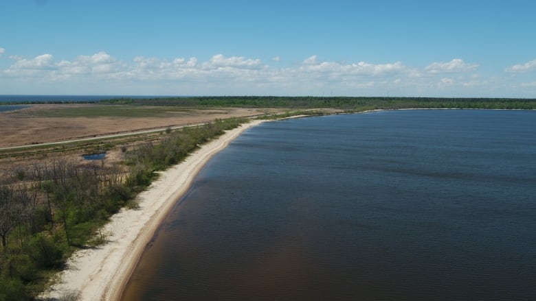 An aerial view of the shore of a lake on a beach.