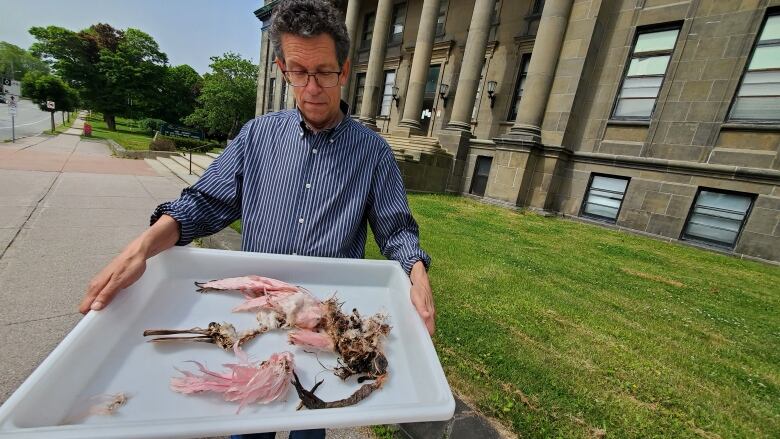 A man stands outside with the remains of a dead bird