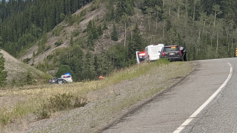 Photo shows the scene of a car crash