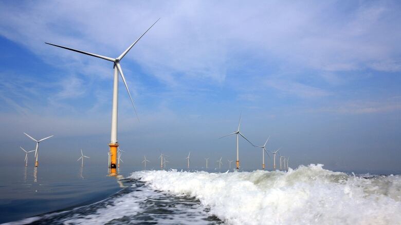 A wave of water created by a boat angles off into the distance leading to a line of large white wind turbines sticking out of the water.