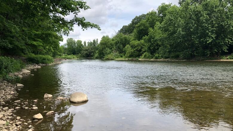 Image of the Thames River in London, Ontario