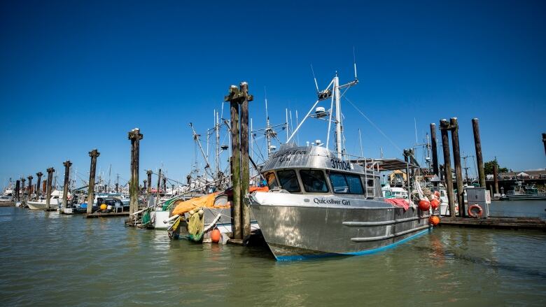 A view of many small commercial fishing vessels docked along the Steveston Harbour on a sunny day.