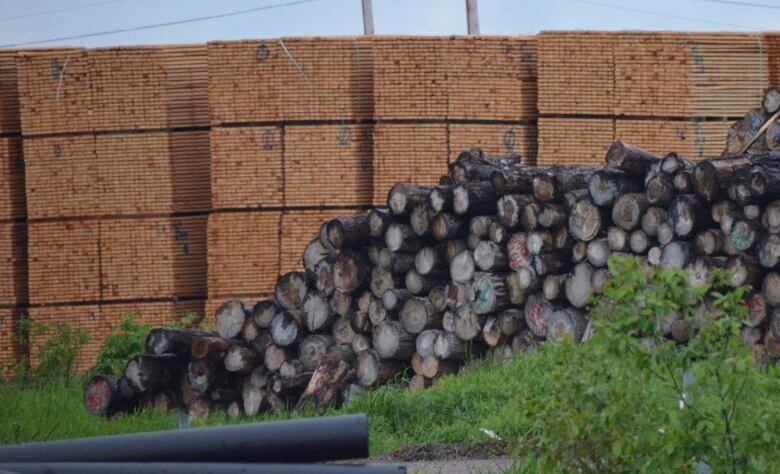 Lumber is stacked in neat piles next to a pile of uncut logs