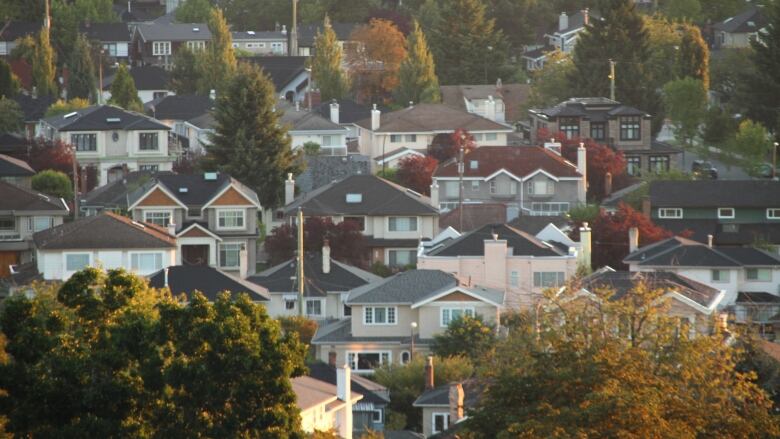 A number of single-family homes in Vancouver.