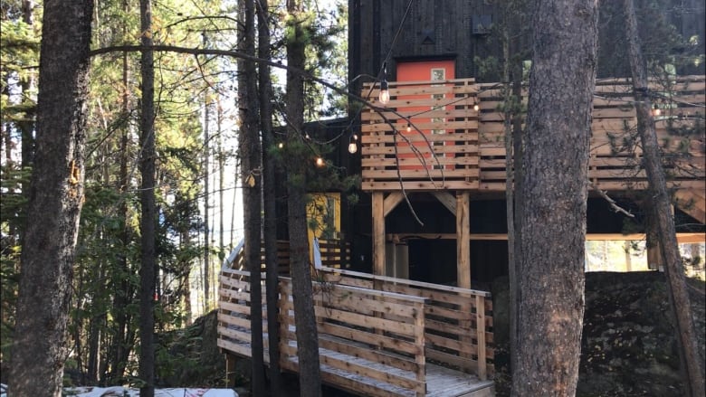 Cabins with string lights in the woods. 