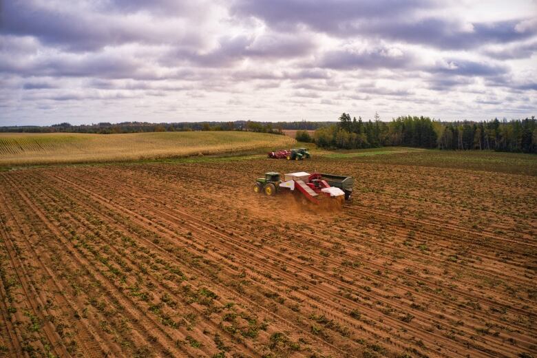 A drone view of a potato field being harvested 