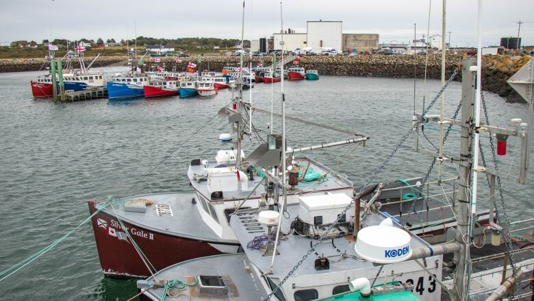 Boats are seen tied up at a wharf