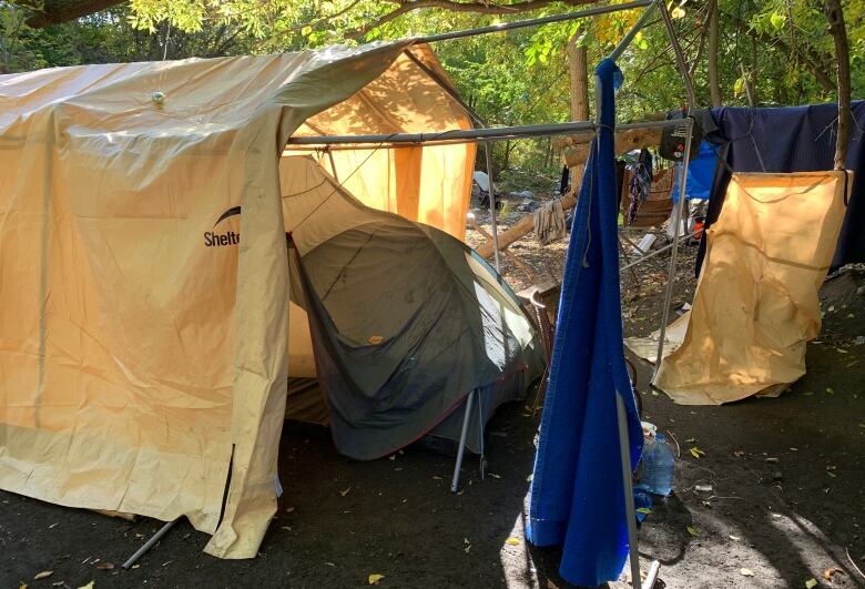 Numerous tents make up the community of people living in the encampment, in Windsor's downtown core, near the river.