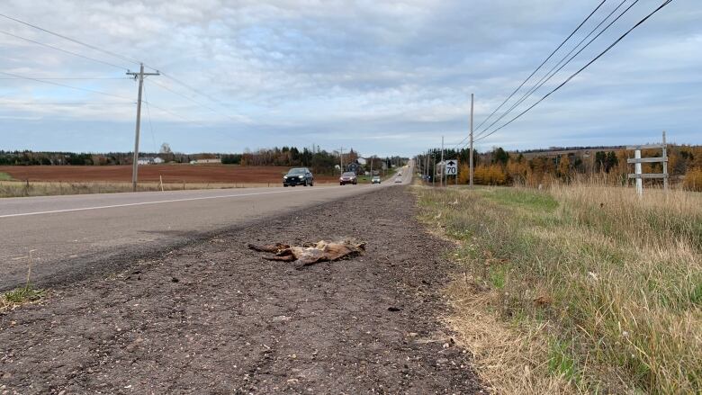 Crews from the Department of Transportation will remove dead animals from the road.