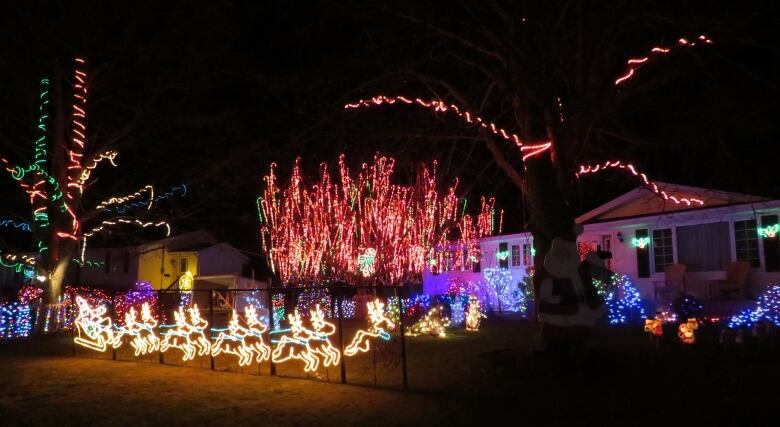 A driveway with a huge Christmas lights display.