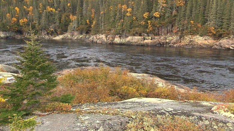 Flowing water in a river nestled between rocks and trees.