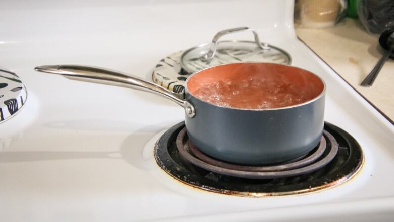 A pot of water is seen boiling on a stove element